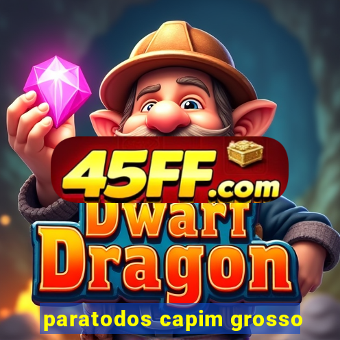 paratodos capim grosso